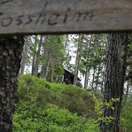 Fossheim Two-Bedroom Cottage Birkeland エクステリア 写真