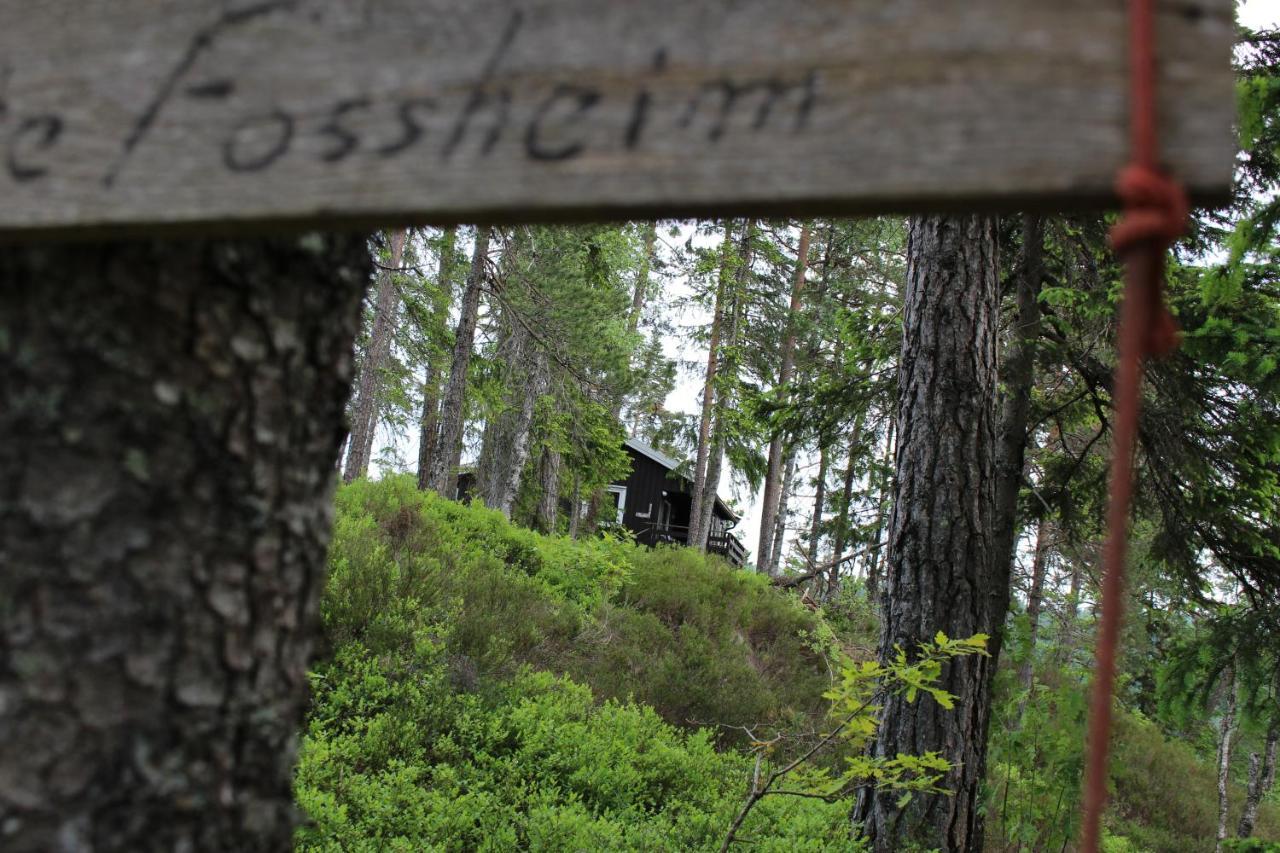 Fossheim Two-Bedroom Cottage Birkeland エクステリア 写真
